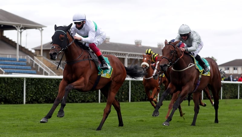 Indigo Girl won despite showing signs of inexperience