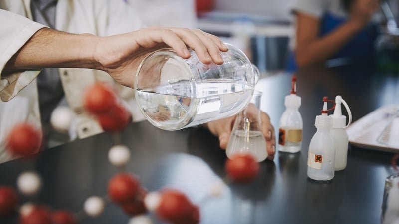 Courses in Medicine have all seen an increase in points required over last year