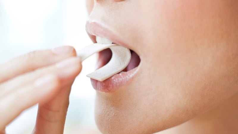 Something to chew on. Photo: Get