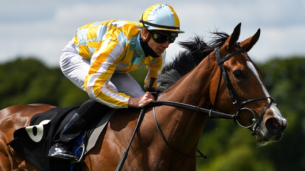 Pretty Gorgeous is a best price of 7-1 for the 1000 Guineas