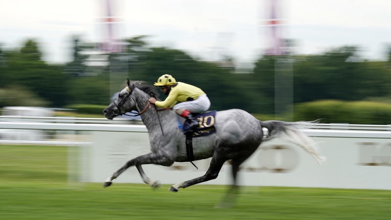 Fujaira Prince is one to watch in the Irish St Leger