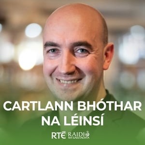 Clár #256: Maidhc Leighin Ó Guithín agus Dónal Ó Catháin