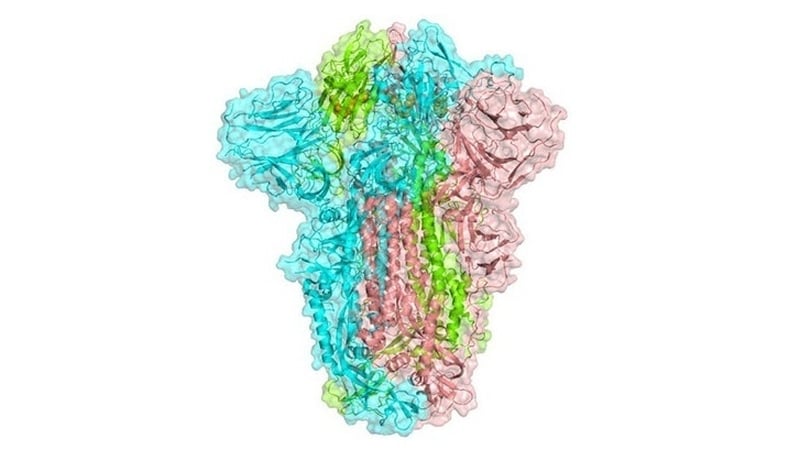 3D structure image of SARS CoV-2 Spike protein 
(Image: University of Bristol)