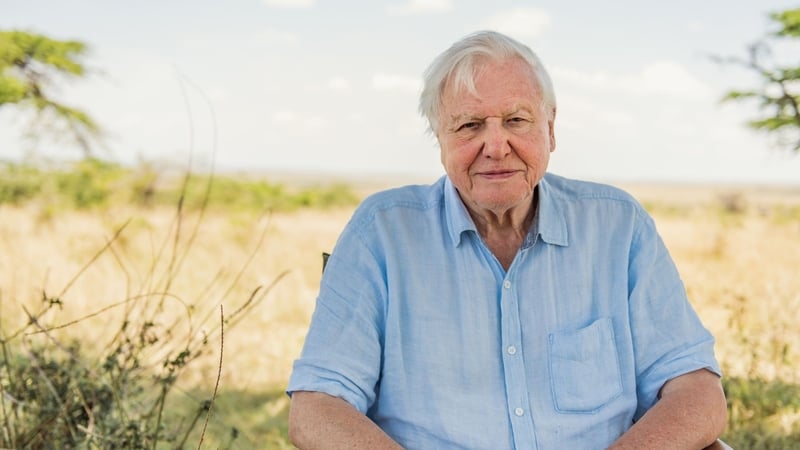 Sir David describes the life he has had as "extraordinary" and "fortunate".