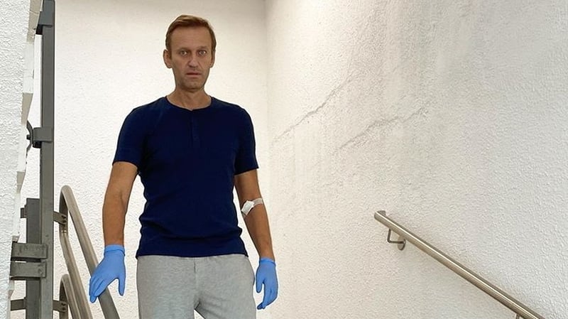 Alexei Navalny fell violently ill during a flight from Siberia to Moscow in August
