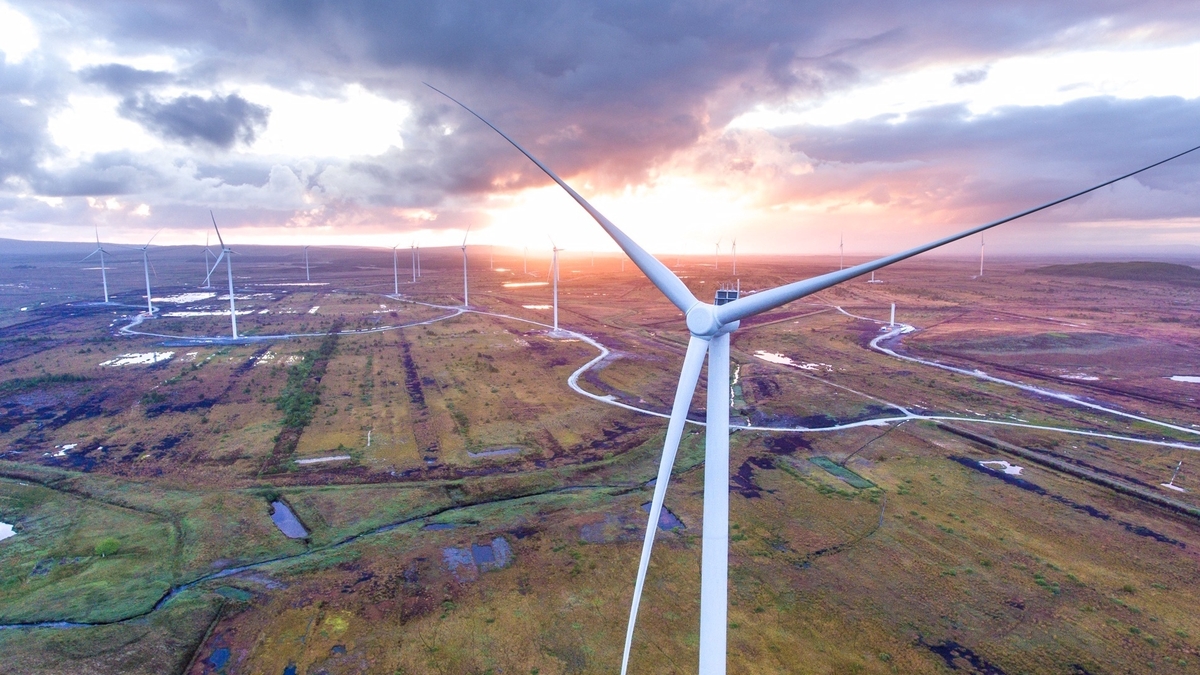 Ireland won't meet its energy targets, says Irish Academy of Engineering 