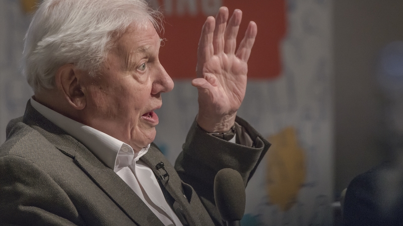 David Attenborough - Already had a million followers in a little over four hours