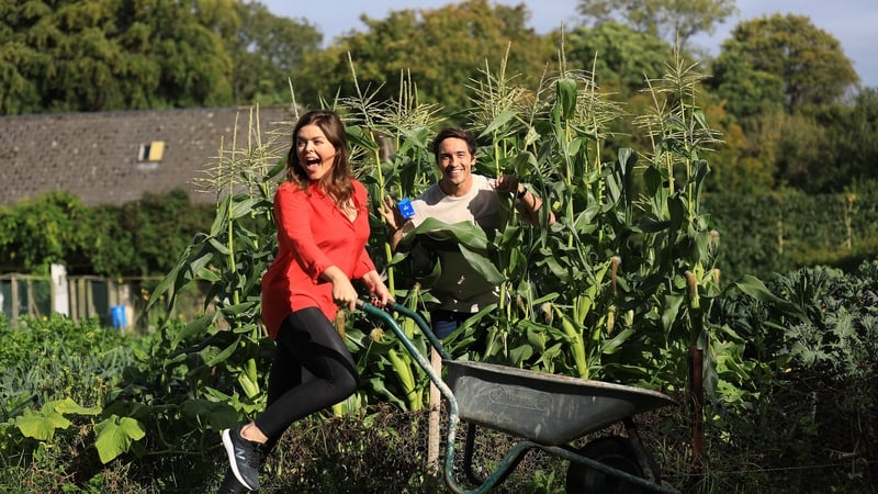 Bank of Ireland launches Ireland's first bio-sourced Visa Debit Card