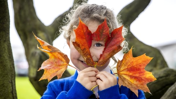 Be a force for nature on National Tree Day