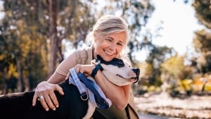 How to tell if your pet is overweight show image