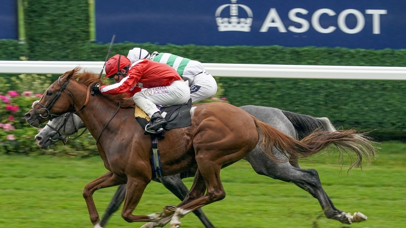 Oisin Murphy on Berkshire Rocco (red) just prevailed at Ascot