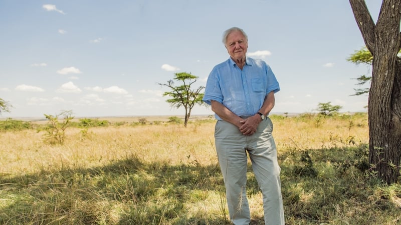 David Attenborough pictured in the Maasai Mara, Kenya
