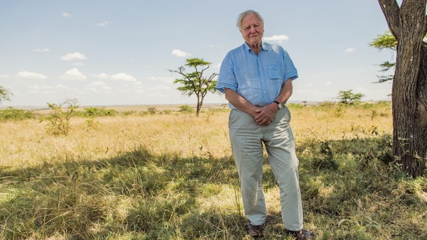 David Attenborough