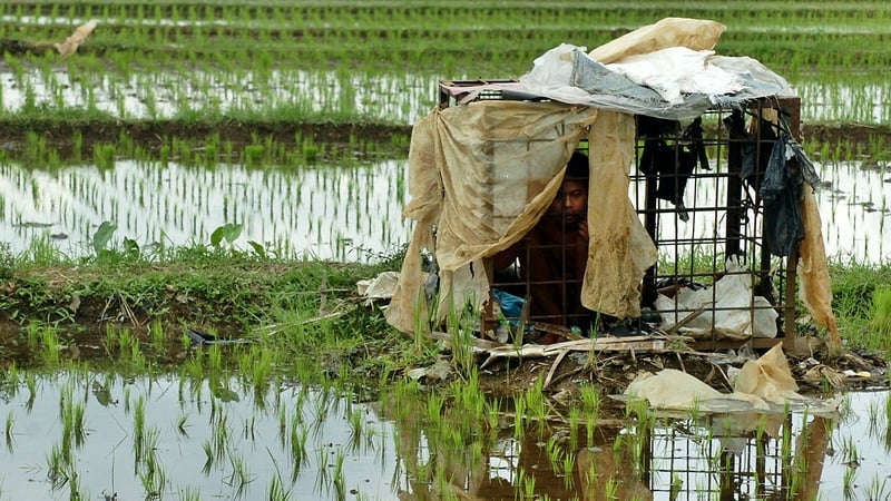 An Indonesian boy sits inside a cage, where he has been locked up in the middle of rice fields for 7 years by his parents because he suffers from mental illness