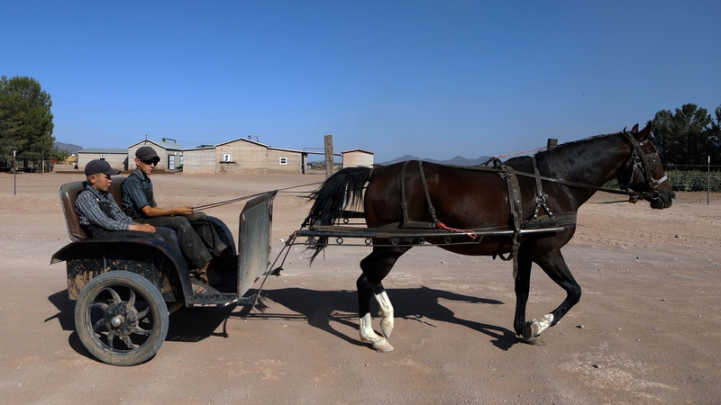 Members of the Mennonite community in Ascension, near El Sabinal in Chihuahua