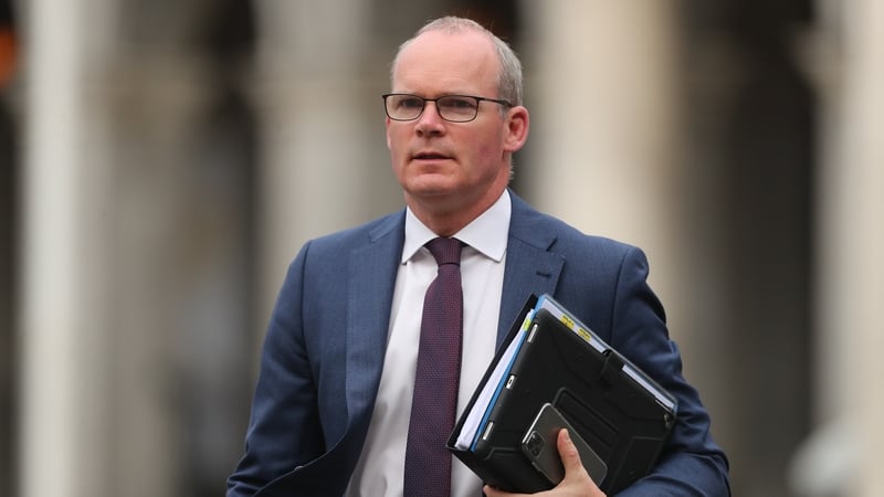 Simon Coveney made the comments during an Irish Farmers Journal webinar