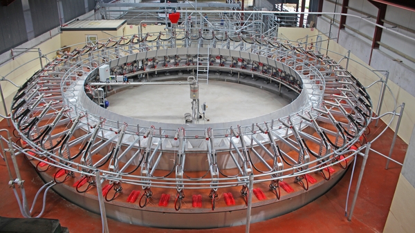 Pearson's Rotary Milking Parlour