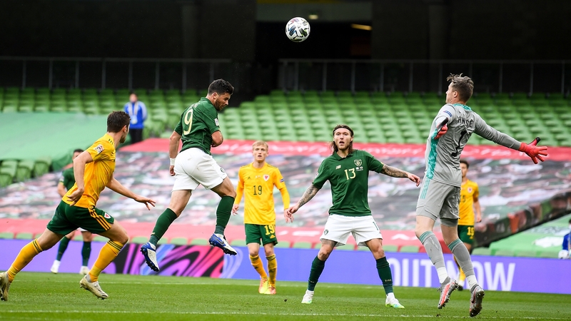 Shane Long missed one of Ireland's best chances