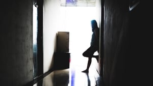Trafficking concerns amid rise in Vietnamese seeking international protection show image