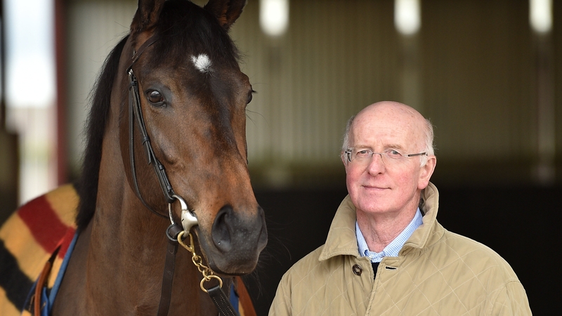 Sea The Stars won eight of his nine career outings for John Oxx