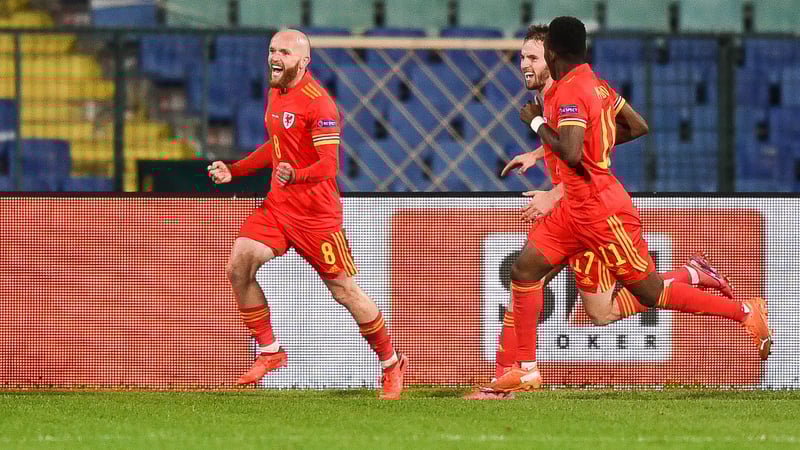 Jonny Williams celebrates his goal in Sofia