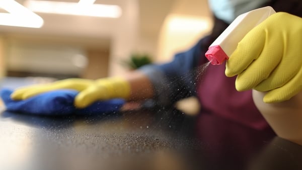 17% of those surveyed had jobs as cleaners