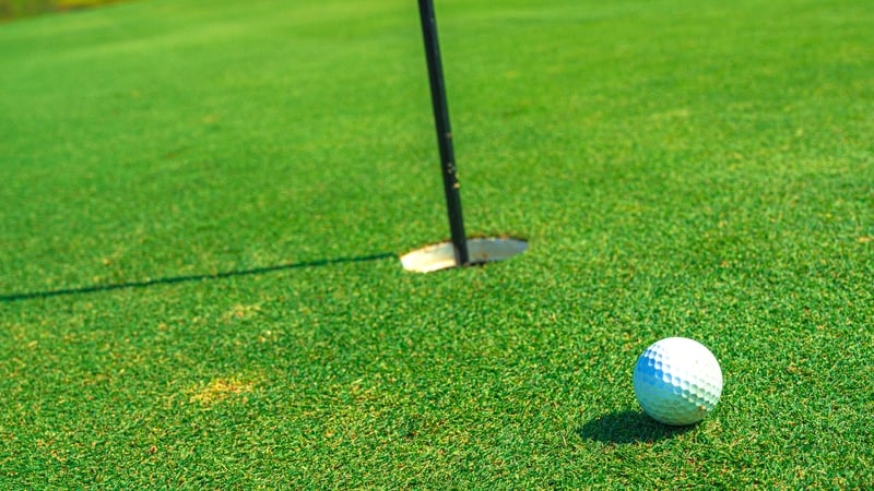 It will be the first time the Society has organised an outing since its gathering in Clifden in August 2020