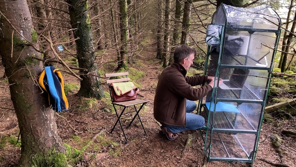 UCD lecturer Colm Fitzgerald is delivering online lectures from a forest in the Wicklow mountains
