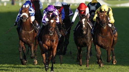 Magical is bidding for a second consecutive win in the Champion Stakes