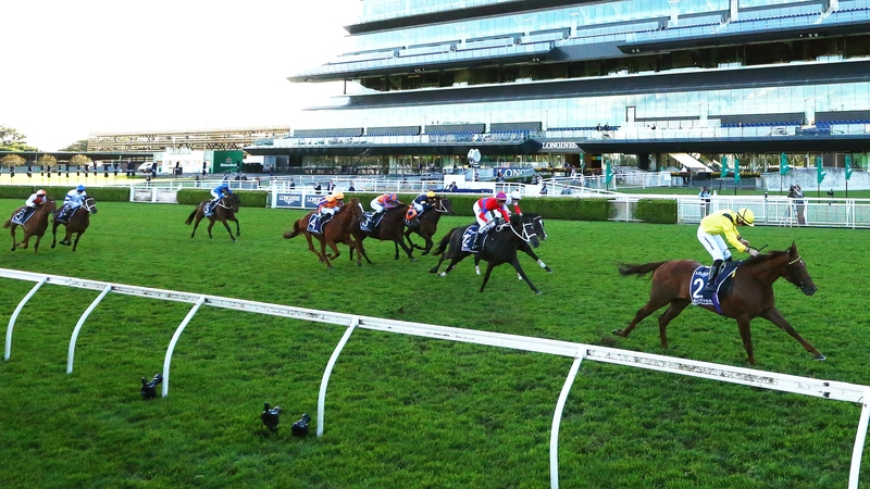 Tom Marquand riding Addeybb win the Qipco Champion Stakes