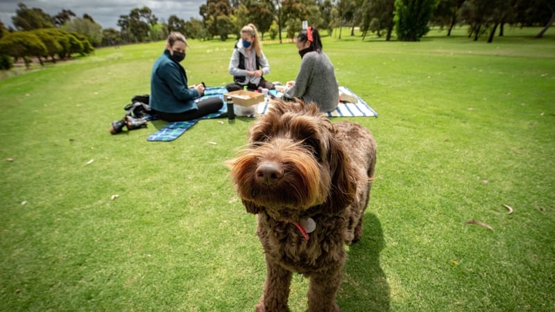 People enjoying a picnic today on the Royal Park Golf Course in Melbourne after golf courses were allowed reopen