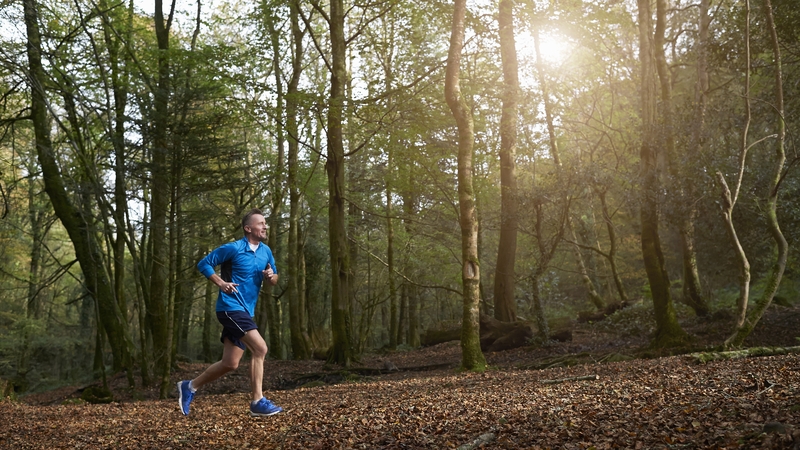 The Woodland Nature Credit was developed for Coillte and Forestry Partners to plant native woodlands across Ireland