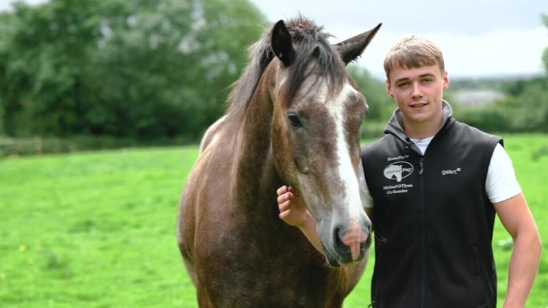 Michael O'Flynn co-founder of HorsePay