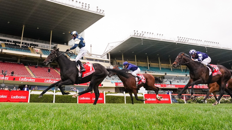 Sir Dragonet scores in front of the empty stands at Moonee Valley