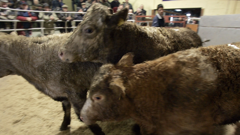 An IT glitch at the weekend saw several sales being cancelled (file image)