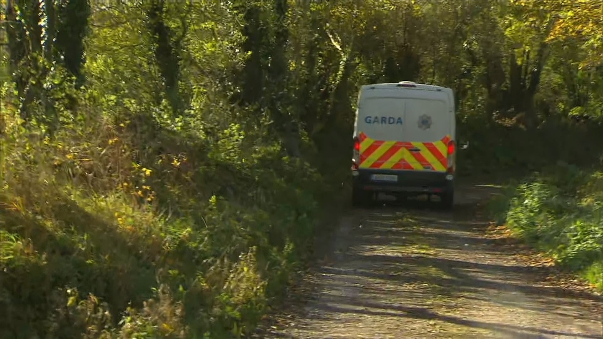  Three dead following shooting incident at Cork farm