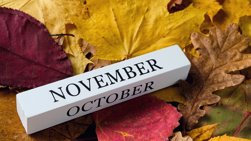 There are plenty of informative and inspiring events to keep you busy this November