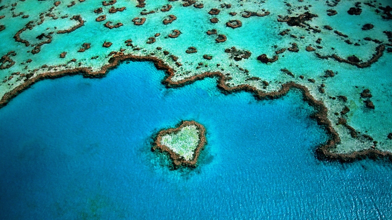The reef is about 6km from the edge of the Great Barrier Reef (file pic)