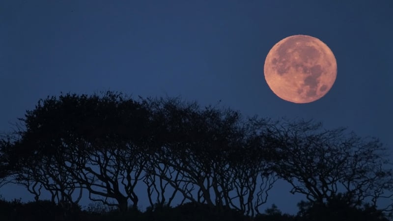 A full harvest moon seen over Old Northumberland in England earlier this month