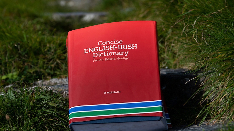 The dictionary contains 1.8 million words in contemporary English and Irish