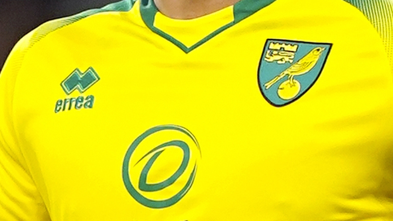 Norwich are currently 7th in the EFL Championship