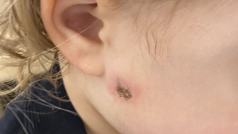 The PSNI said the incident occurred at a house in Rockfield Heights in Newry yesterday evening