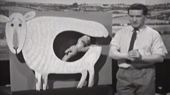 Justin Keating presents 'Telefís Feirme' in 1965.