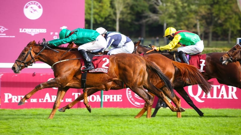 Tarnawa has proven a revelation this season