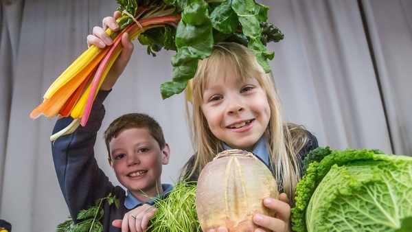 Incredible Edibles: Grow your own food in school