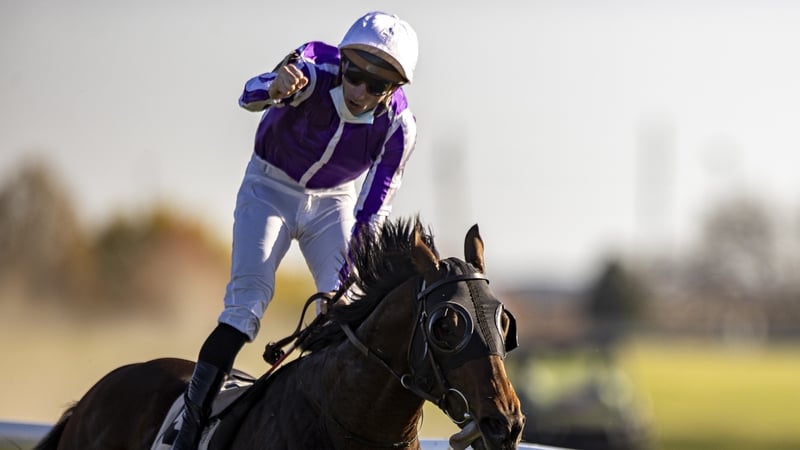 Order of Australia was a 732-10 outsider