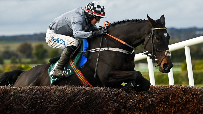 Castlegrace Paddy and Bryan Cooper clear the last at Navan