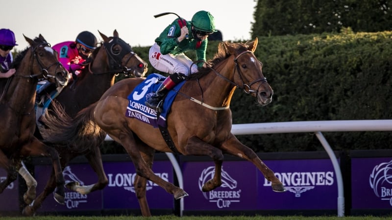 Tarnawa will remain in training as a five-year-old