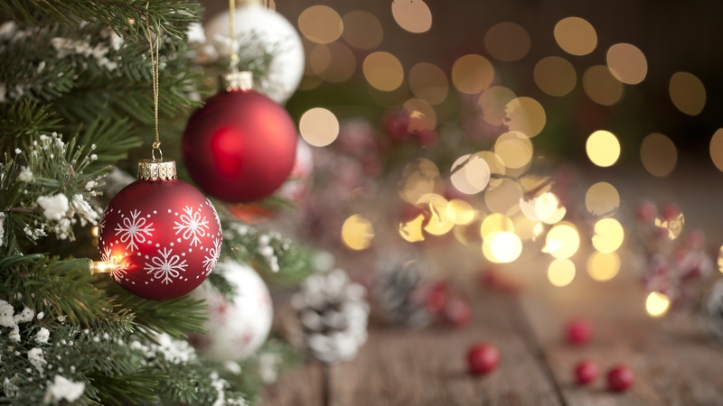 Ireland's maritime climate provides the ideal conditions for growing quality Christmas trees