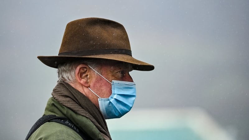 Willie Mullins saddles four of the nine runners in the Irish Arkle